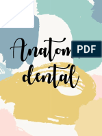 Anatomía Dental 2022-05-02 15 - 21 - 55