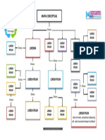 Mapa conceptual  optimizado