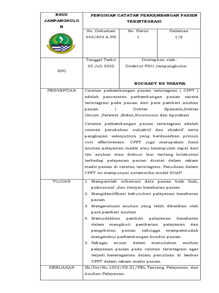 Panduan Penulisan CPPT Terintegrasi | PDF