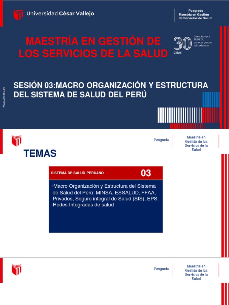 Organización del Sistema de Salud en Perú | PDF | Perú | Sistema de salud