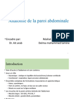 Anatomie La Paroi Abdominale8180644863128032846
