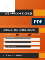 LOS ÓRGANOS SOCIALES -clase5-