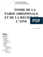 Anatomie Paroi Abdominale, Région L'aine