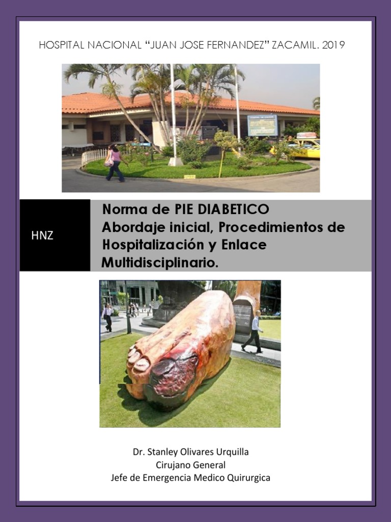 2019 ENERO. PIE DIABETICO NORMA Oficial PDF Diabetes Cirugía