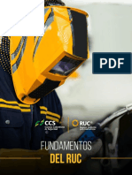 Fundamentos RUC - Glosario