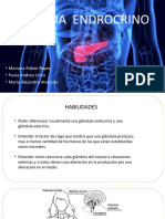 Sistema Endocrino