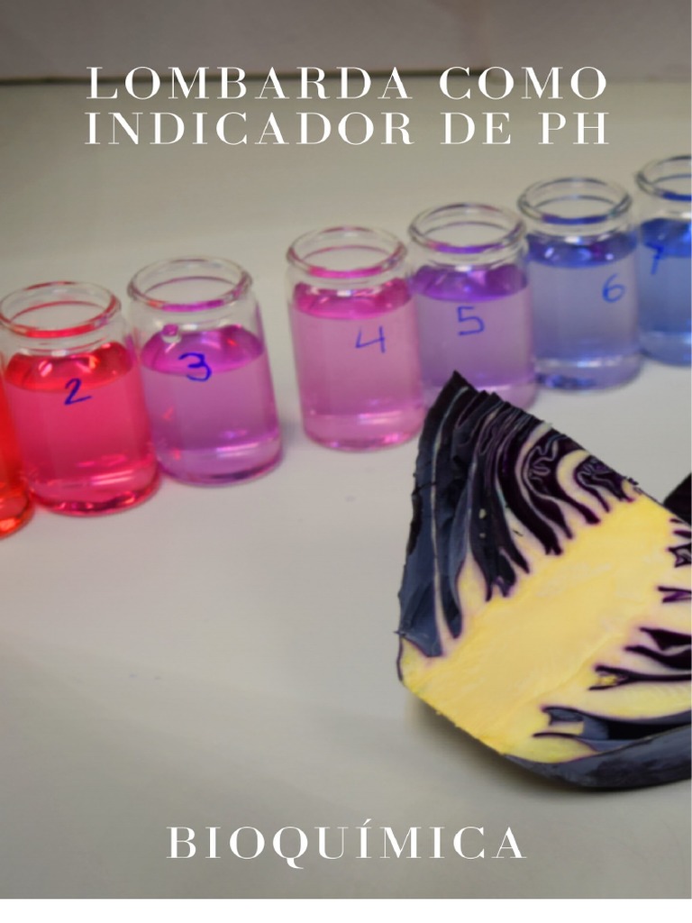 Col Morada como Indicador de pH | PDF | Ph | Gusto