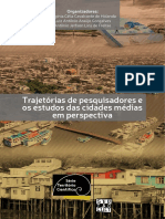 TRAJETÓRIAS DE PESQUISADORES E OS ESTUDOS DAS CIDADES MÉDIAS EM PERSPECTIVA - Ebook