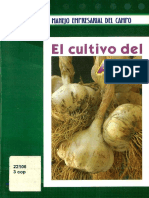 Cultivo del ajo, una guía práctica para su producción