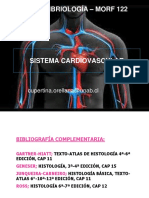 MORF 122 Sistema Cardiovascular