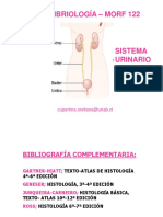 MORF 122 Sistema Urinario