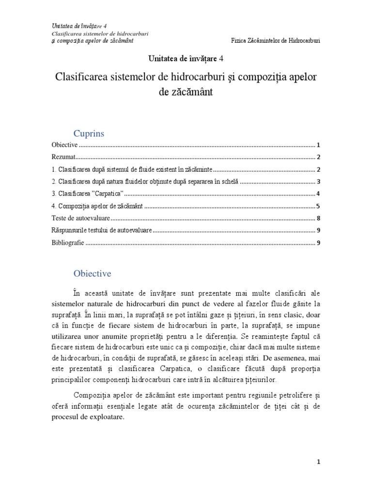 Unitatea de Invatare 4 | PDF
