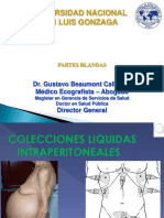 Colecciones Liquidas Intraperitoneales - Dr. Ponce