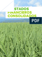 Castilla Agrícola S.A. Estados Financieros Consolidados Año 2020