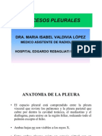 Diagnostico Por Imagenes 5 - Enfermedades Pleurales 1 2011 Usmp-Dra Valdivia