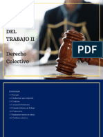 Derecho Colectivo: Concepto, Instituciones y Figuras Jurídicas