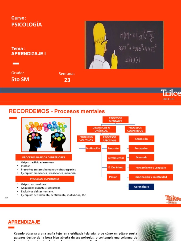 S23-Aprendizaje I | PDF | Aprendizaje | Teoria de la mente