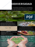 Infografia Biodiversidad