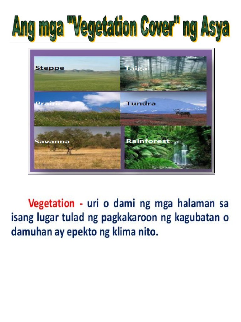 Vegetation Cover NG Asya PDF