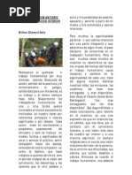 El Trabajo rio Como Realizacion Interior 05 Jul 2011