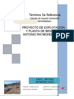 TDR Estudio Impacto Ambiental Antonio Raymondi