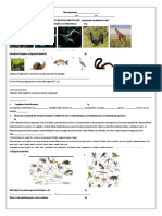 Test - de - Evaluare - Sumativa - Sem - II Clasa 8 Biologia ,, Organismele Vii"11