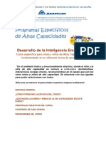 Programa Especifico Castellano ENRIQUECIMIENTO 2º Y 3º EP