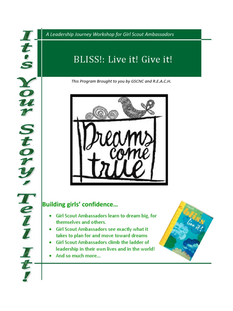 Ambassador Bliss Journey Pdf Negotiation Salary