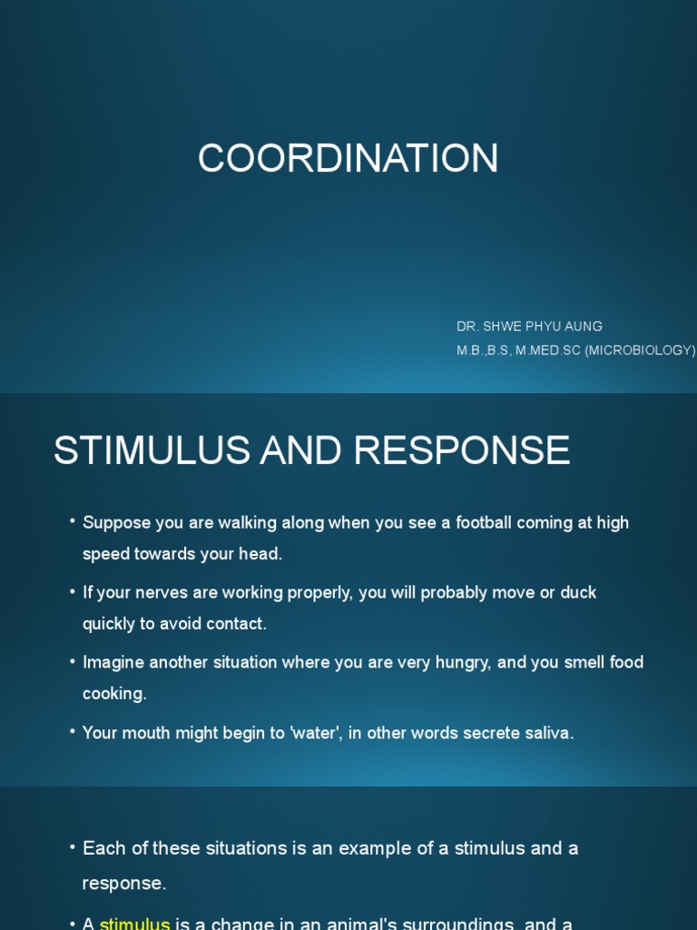 Understanding Stimulus and Response | PDF | Neuron | Axon