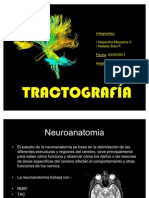 Tractografia Final