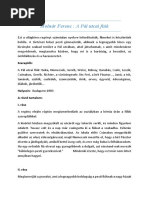 Nemecsek Ern, Boka Jnos Jellemzse Plutcai Fik | PDF
