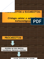 Aula 2 - Procariotos e Eucariotos