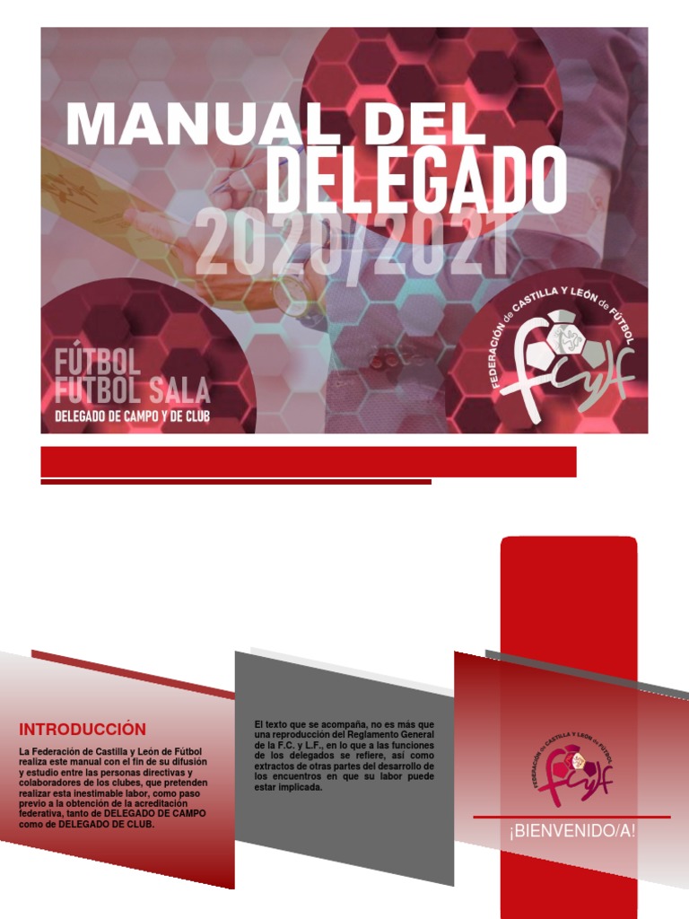 Manual Del Delegado Fcylf 2020 2021 Pdf árbitro Deportes