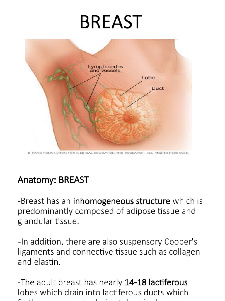 Breast, PDF, Neoplasms
