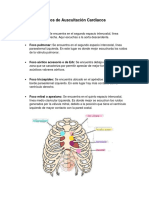 Focos de Auscultación JMVG