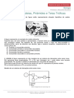 Materialdeapoioextensivo Biologia Exercicios Cadeias Piramides Teias Troficas