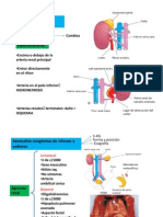 Anomaliascongnitas 090916164657 Phpapp01