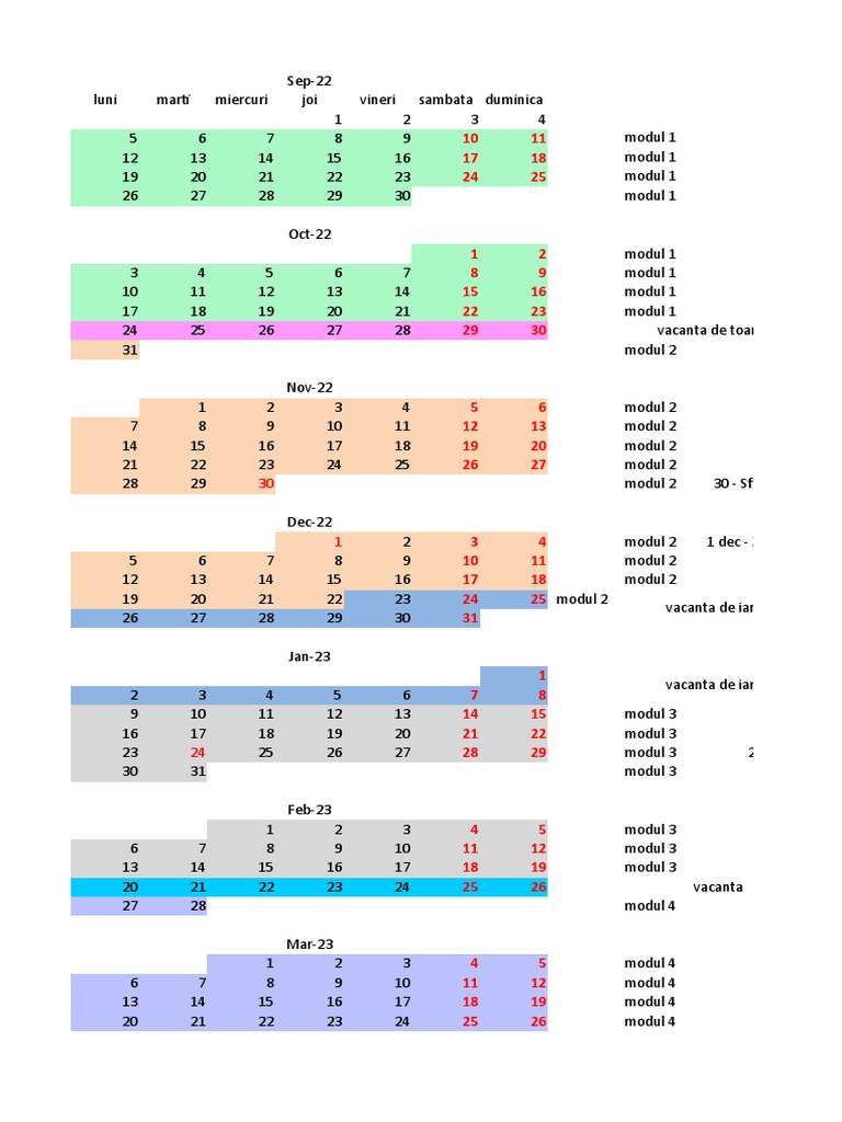 Planificare Module Vacante Zile Libere PDF