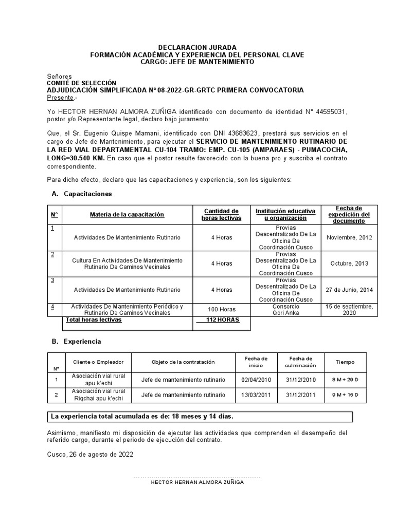 CV Eugenio Mantenimiento 08 | PDF