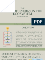 The Flow of Energy in Ecosystems