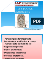 Planos y cortes anatómicos