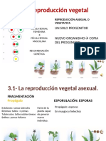 T.9 La Reproducción en Las Plantas