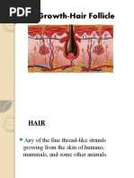 Anatomy and Physiology of Hair | PDF | Hair | Integumentary System