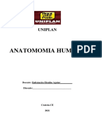 Apostilha de Anatomia Humana - Uniplan 2021