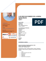 CV Luis Romero de La Mora