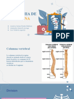 Anatomia de Columna