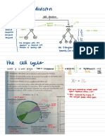 IB Cell Division Note