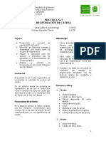 Informe P05 UIS