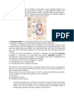 O sistema respiratório: divisão, funções e mecanismos