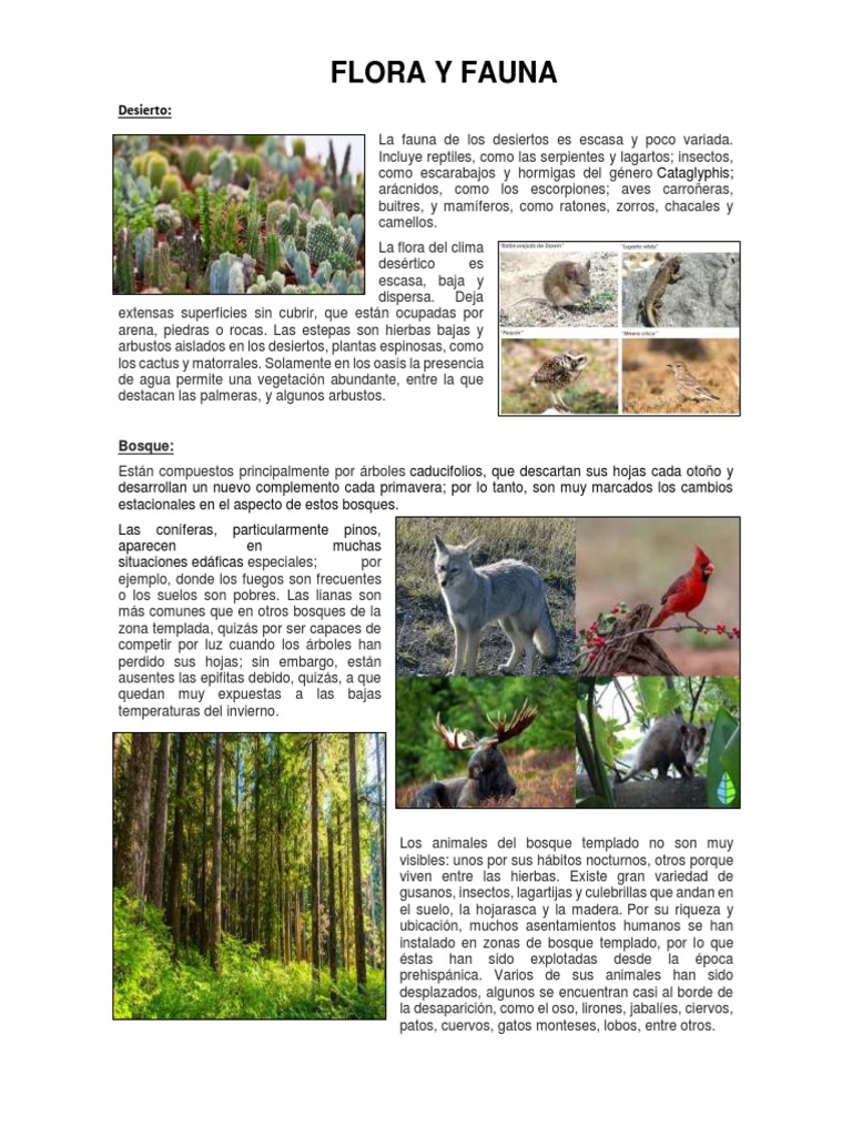 Desierto | PDF | Desierto | Organismos